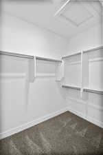 Walk in closet featuring carpet flooring