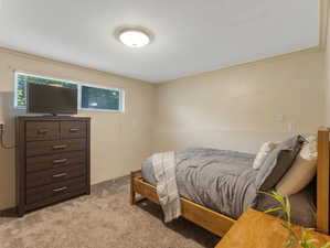 Carpeted bedroom with multiple windows and ornamental molding