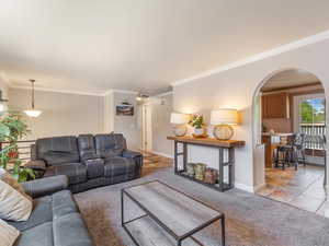 Carpeted living room featuring ornamental molding