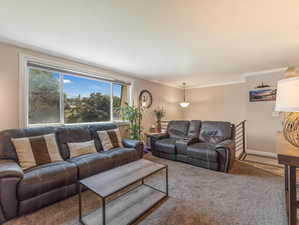 Living room with ornamental molding and carpet flooring