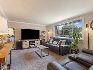 Carpeted living room with crown molding