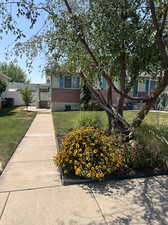 sidewalk to walkout basement and backyard