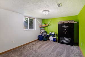 Recreation room with carpet and a textured ceiling