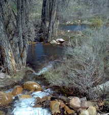 View of landscape with a water view