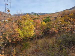 View of mountain feature