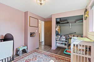 Bedroom featuring dark wood-type flooring and a closet