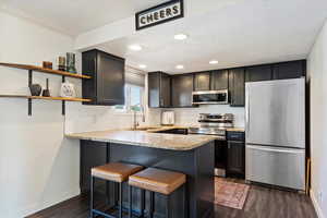 Kitchen featuring tasteful backsplash, kitchen peninsula, dark wood-type flooring, stainless steel appliances, and sink