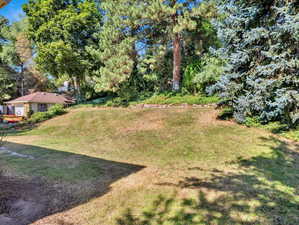 Expansive backyard