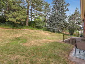 Expansive backyard