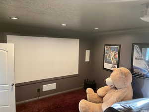 Carpeted home theater with a textured ceiling