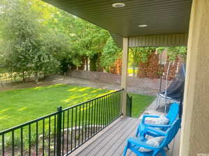 Trex decking