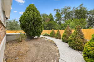 View of backyard