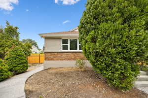 View of backyard