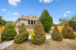 View of backyard