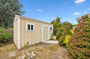 Shed in the backyard