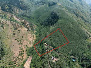 approximate aerial view of 5 acre lot lines.