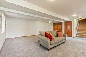 basement living room