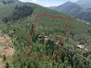 approximate aerial view of 5 acre lot lines.