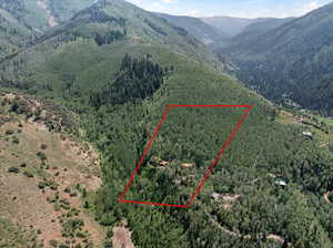 approximate aerial view of 5 acre lot lines.