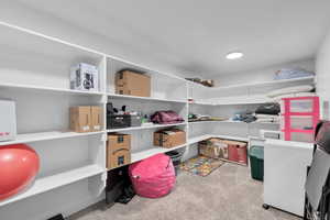 Giant Basement Storage Room