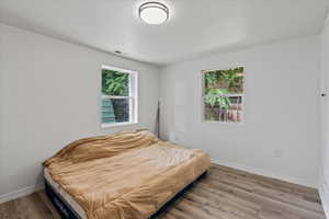 Bedroom with multiple windows and hardwood / wood-style floors