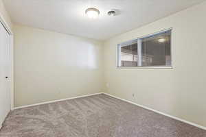 Spare room with carpet flooring and a textured ceiling