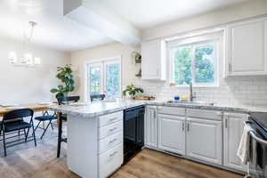 Kitchen with hardwood / wood-style flooring, dishwasher, a wealth of natural light, and kitchen peninsula