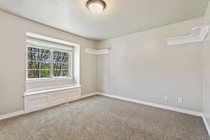 View of carpeted spare room