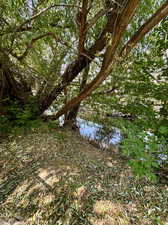 View of local wilderness featuring a water view