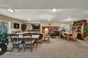 GINORMOUS BASEMENT FAMILY ROOM!