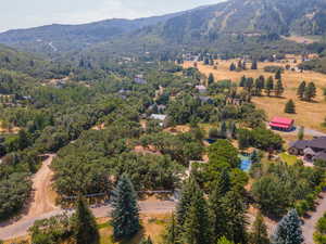 Birds eye view of property with a mountain view