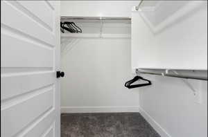 Spacious closet with dark colored carpet