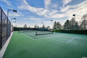 Neighborhood Amenities Tennis Court