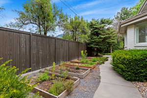 Backyard Garden Boxes