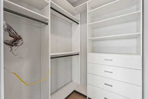 View of walk in closet