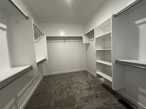 Spacious closet with dark colored carpet