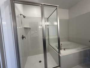 Bathroom with independent shower and bath