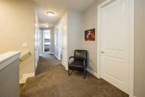 Interior space featuring dark colored carpet