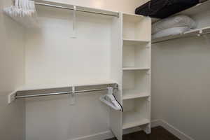 Walk in closet featuring carpet floors