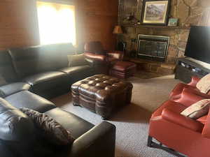 Living room featuring carpet floors and a stone fireplace