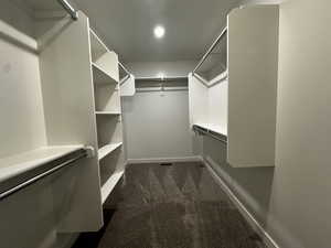 Spacious closet with dark carpet