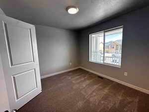 Unfurnished room featuring carpet and a textured ceiling