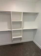 Spacious closet featuring carpet flooring