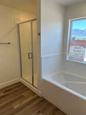 Bathroom featuring plus walk in shower, a mountain view, and hardwood / wood-style floors