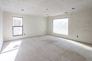 Spare room featuring plenty of natural light