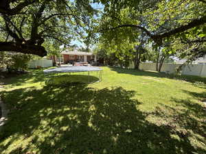 View of yard featuring a trampoline