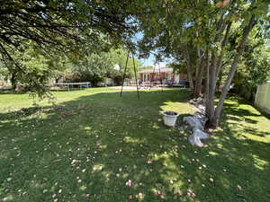 View of yard featuring a trampoline and swingset