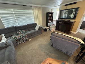 Carpeted living room with a textured ceiling and ornamental molding