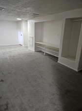 Basement featuring carpet floors and a textured ceiling