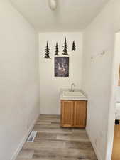 Bathroom featuring vanity and hardwood / wood-style flooring